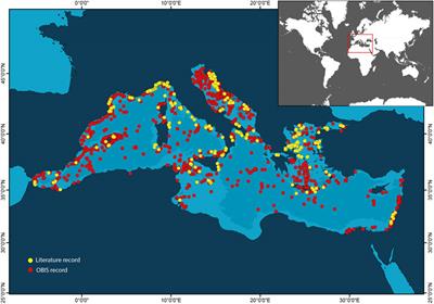 What are we protecting? An analysis of the current conservation framework addressing Mediterranean mesophotic habitats